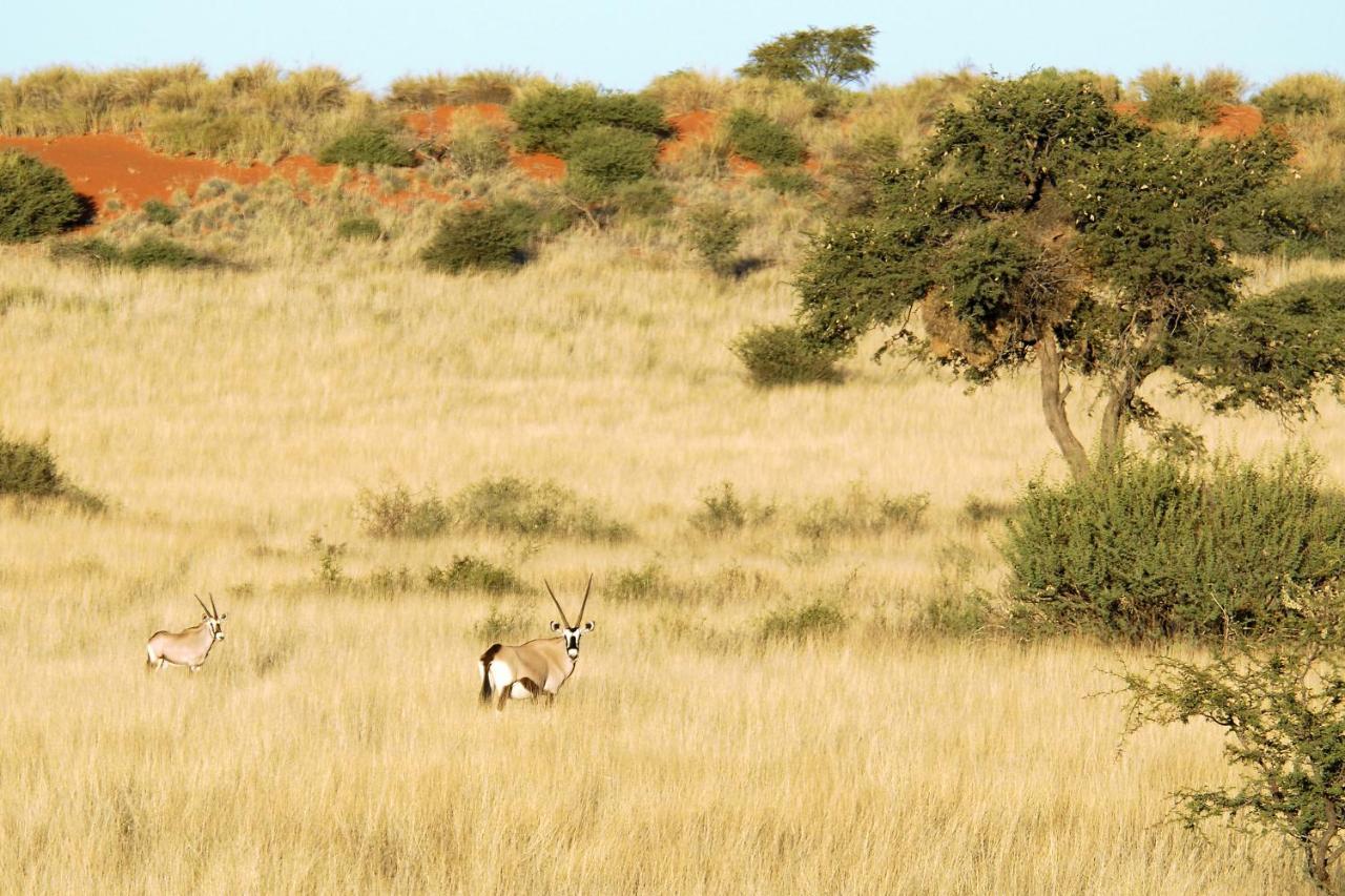 Kalahari Anib Camping2Go Mariental Exterior foto
